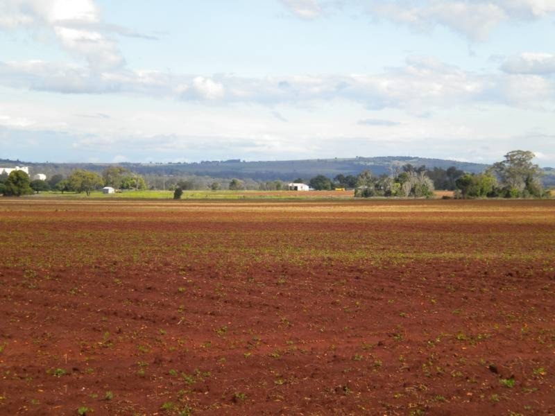 Kingaroy QLD 4610