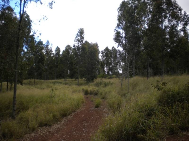 Coolabunia QLD 4610