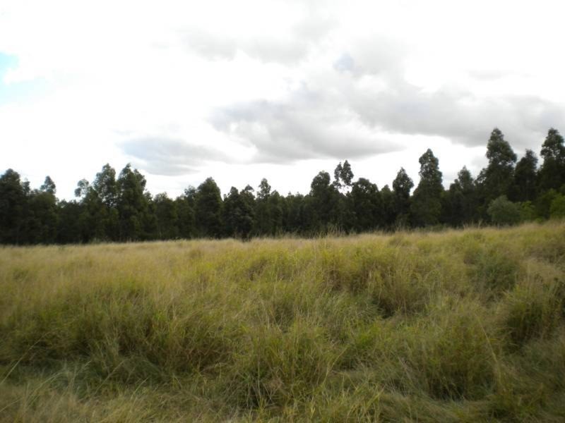 Coolabunia QLD 4610