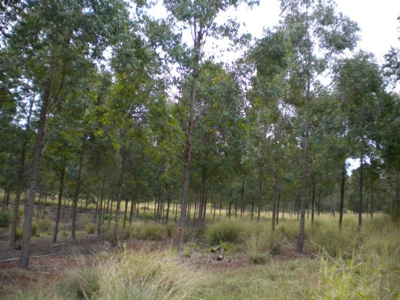 Coolabunia QLD 4610