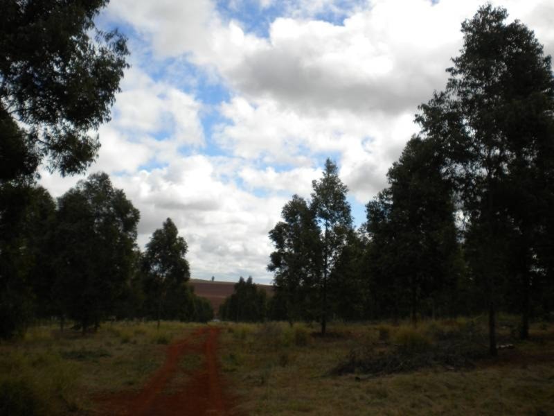 Coolabunia QLD 4610