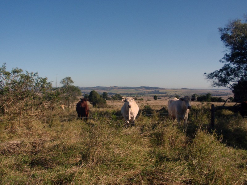 Tingoora QLD 4608