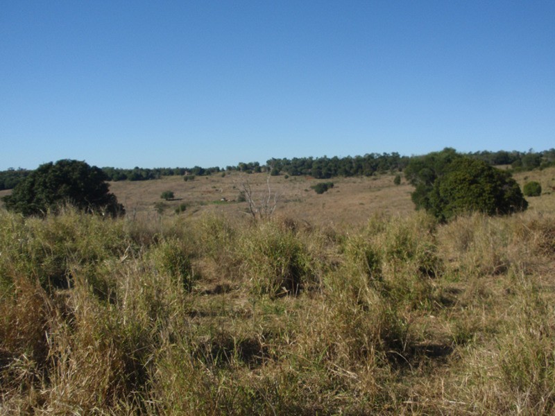 Tingoora QLD 4608