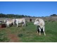 Tingoora QLD 4608