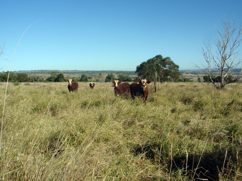 Tingoora QLD 4608
