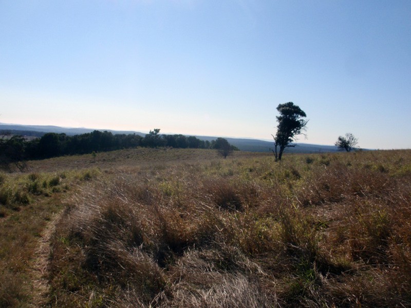 Tingoora QLD 4608