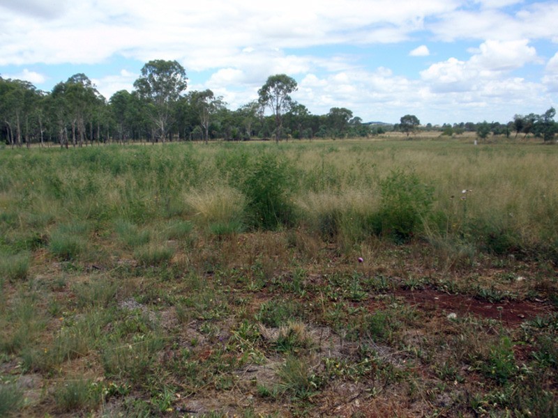 Memerambi QLD 4610