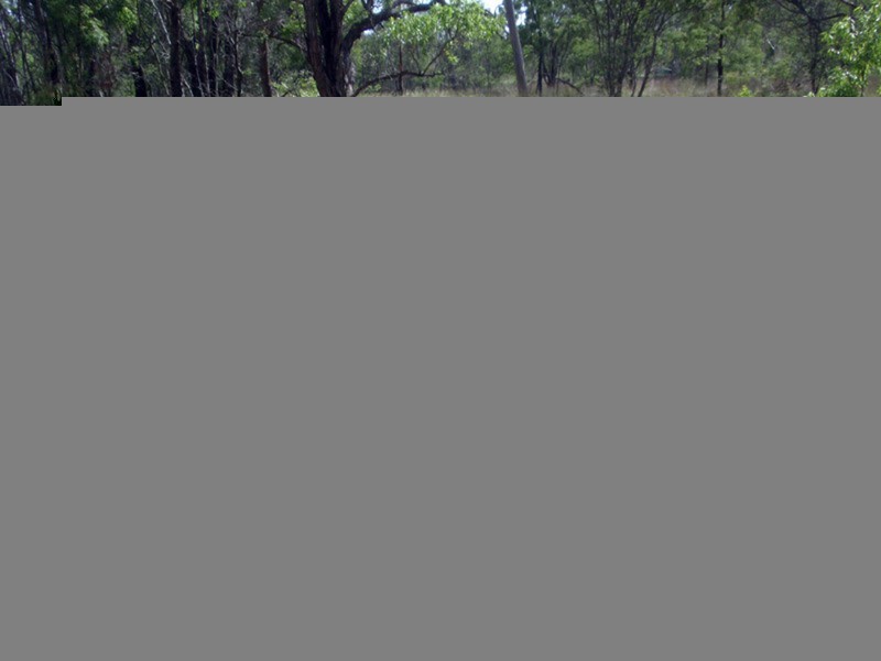 10311 Chinchilla Wondai Road, Durong QLD 4610