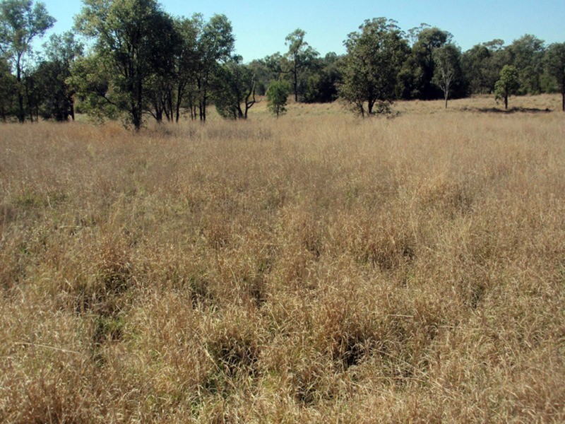 Lot 6 Susan  Crescent, Proston QLD 4613