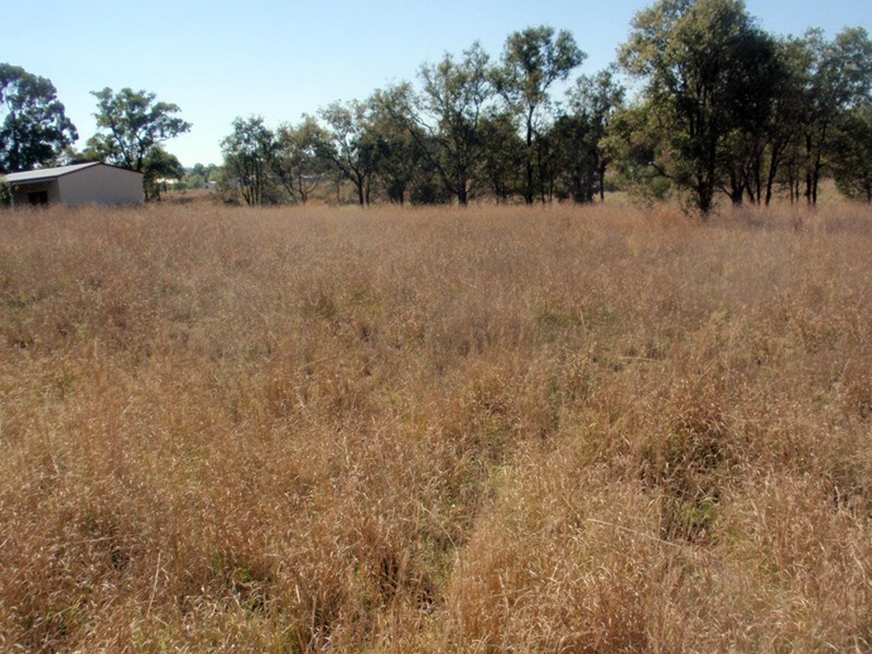 Lot 6 Susan  Crescent, Proston QLD 4613