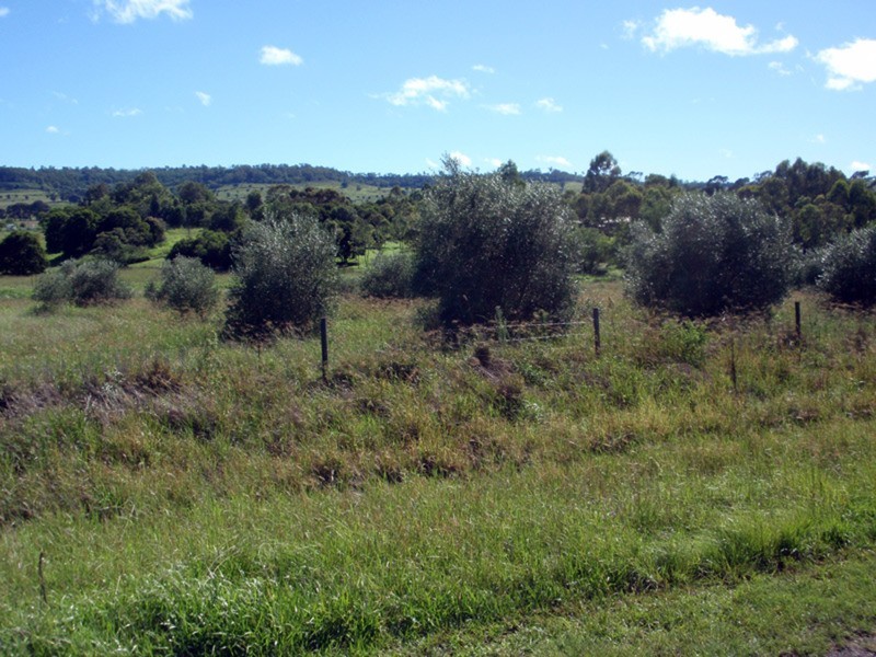 Lot 81 Butler Drive, Proston QLD 4613