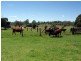 Booie QLD 4610