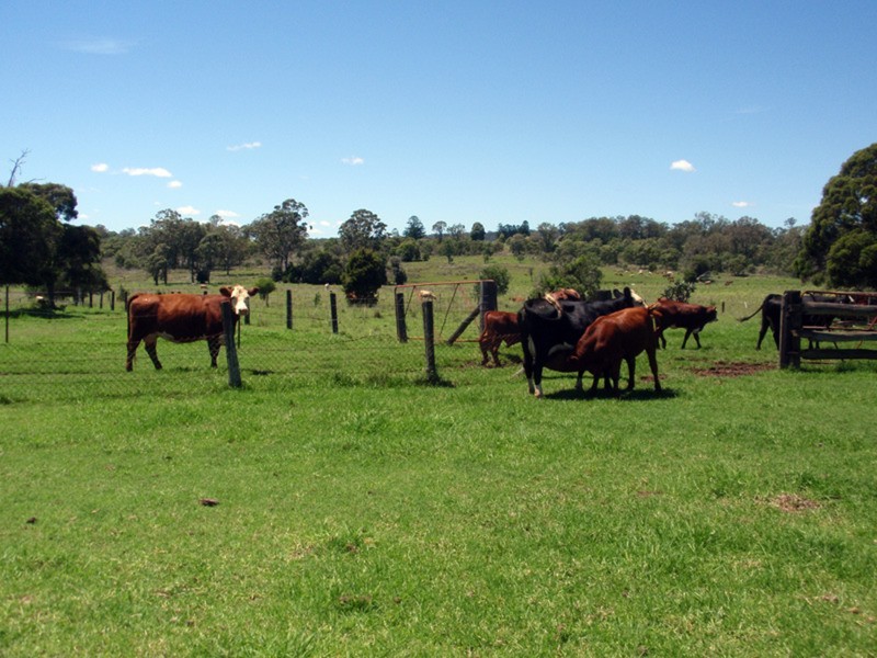 Booie QLD 4610