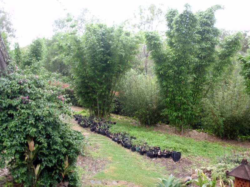 2A Millar  Street, Yarraman QLD 4614