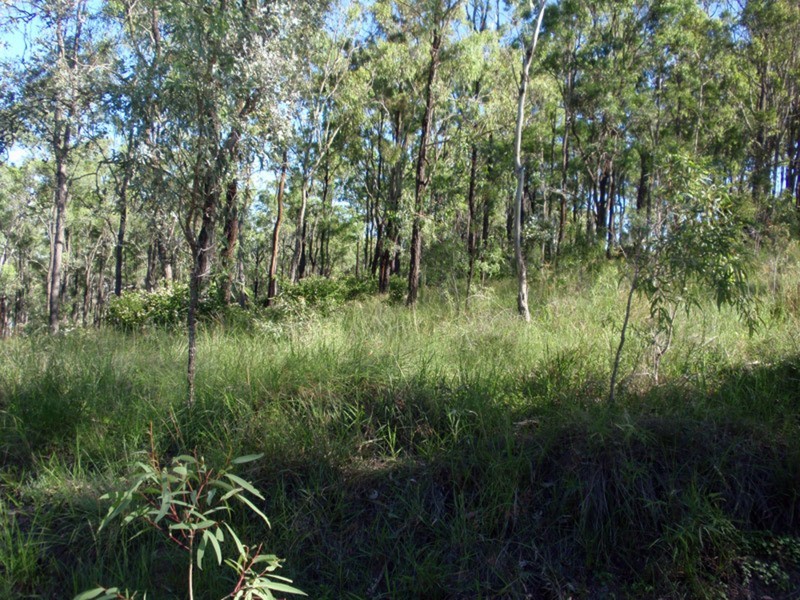 Runnymede QLD 4615