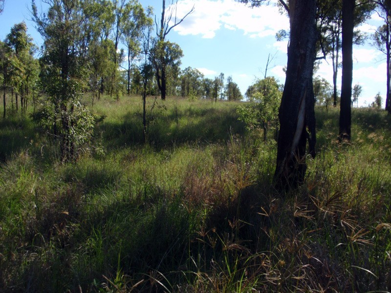 Runnymede QLD 4615