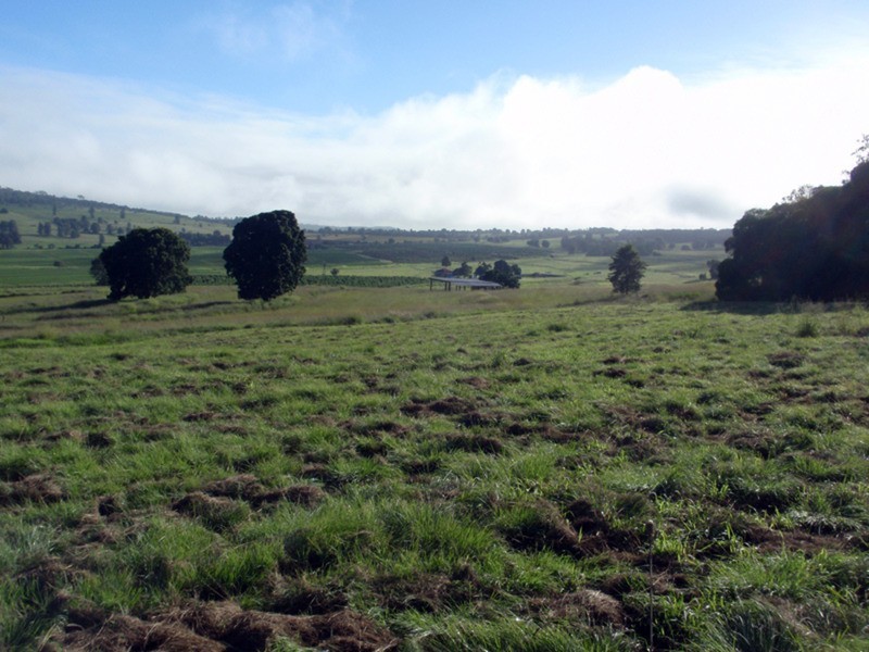 Kingaroy QLD 4610