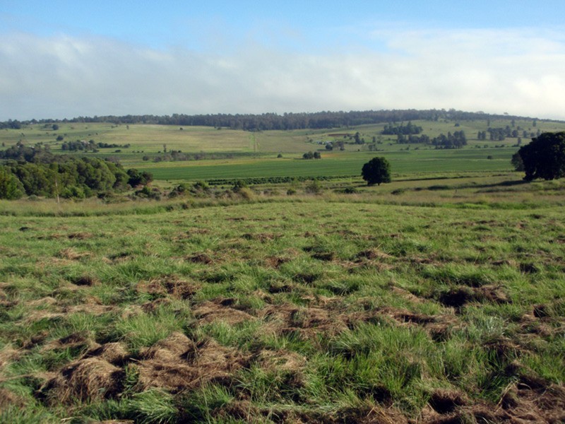 Kingaroy QLD 4610