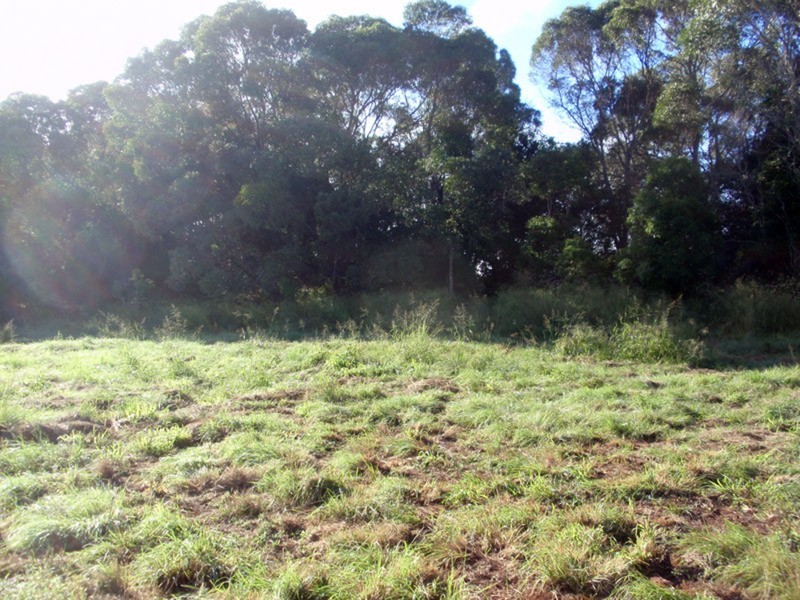 Kingaroy QLD 4610