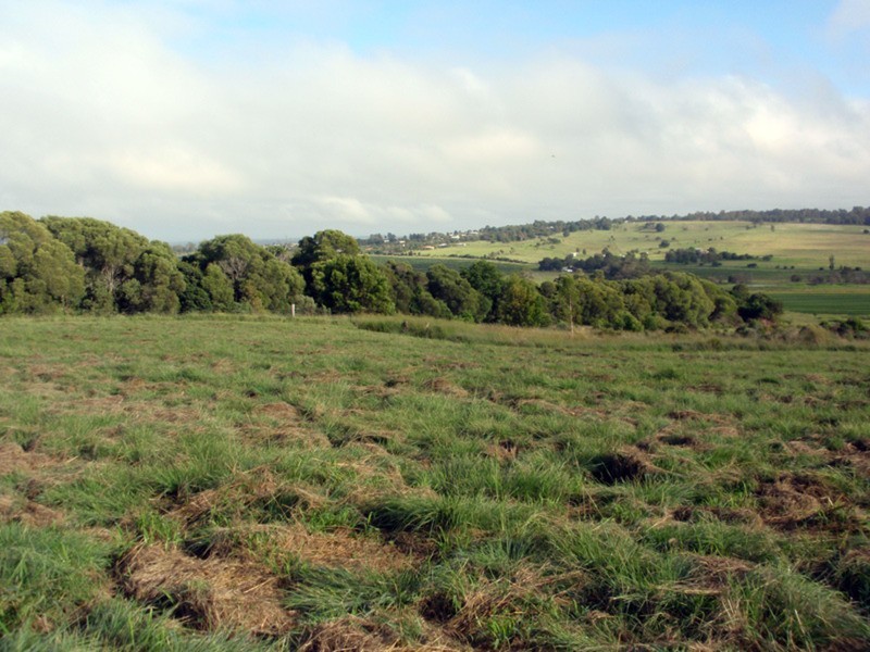 Kingaroy QLD 4610