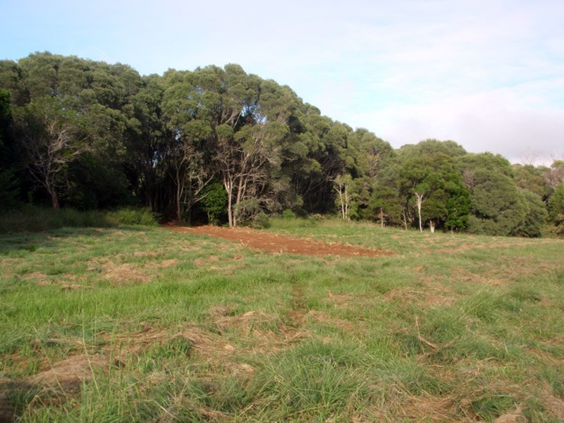 Kingaroy QLD 4610