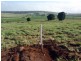Kingaroy QLD 4610