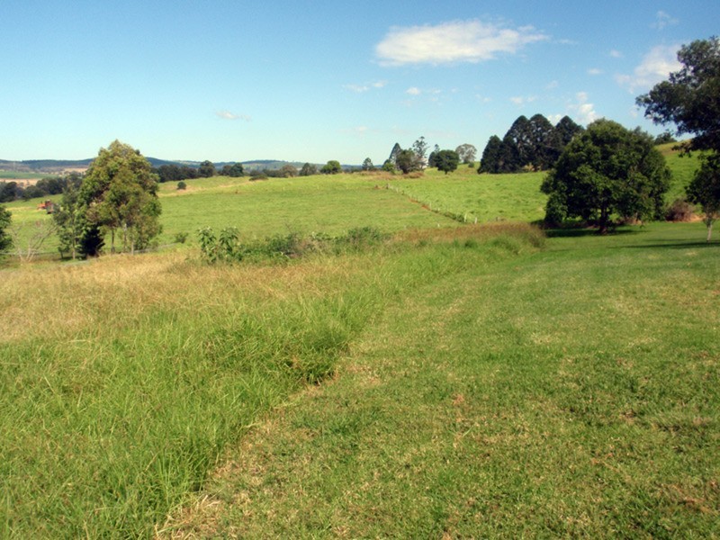31 Rosalie Drive, Yarraman QLD 4614