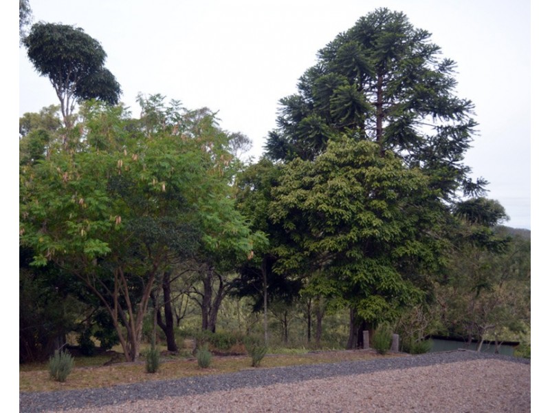 Wengenville QLD 4615