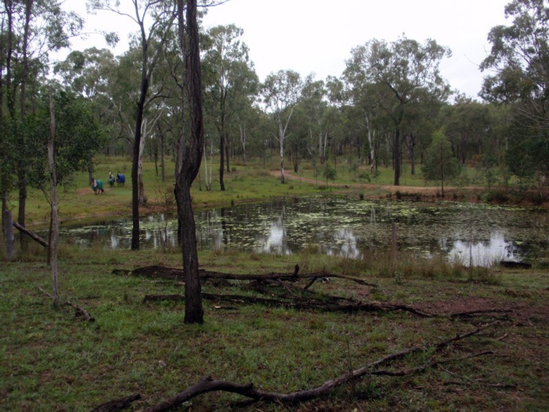 Wilkesdale QLD 4608