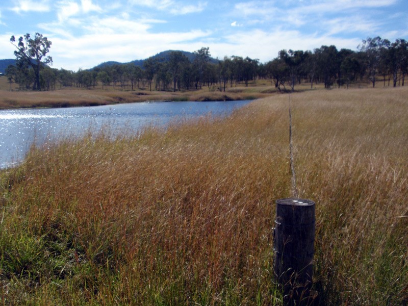 Kilkivan QLD 4600