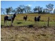 Kilkivan QLD 4600