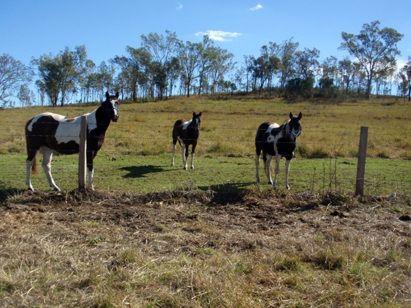 Kilkivan QLD 4600