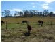 Kilkivan QLD 4600