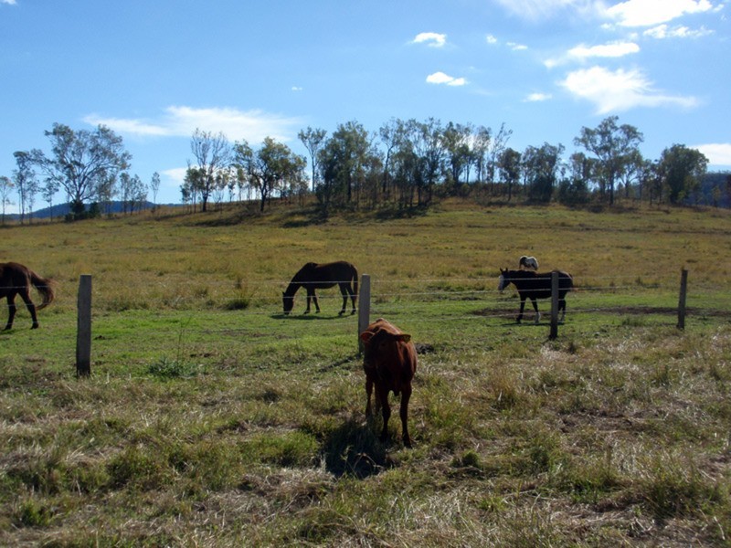 Kilkivan QLD 4600