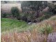 520 Kumbia Road, Ellesmere QLD 4610