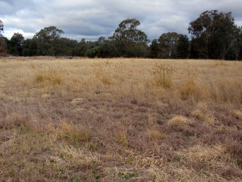 Proston QLD 4613
