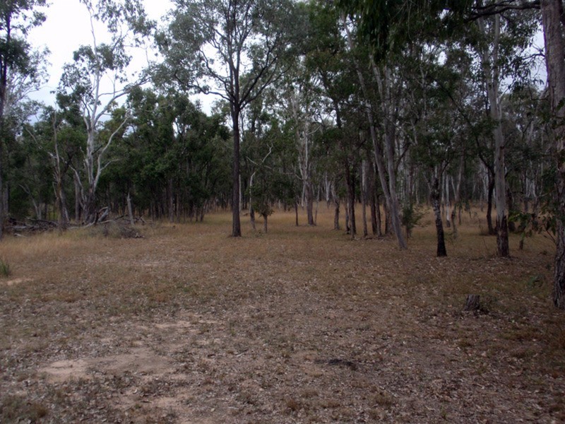 37  Wonga Crescent, Ballogie QLD 4610