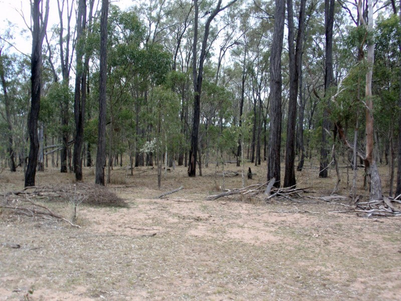 Coverty QLD 4613
