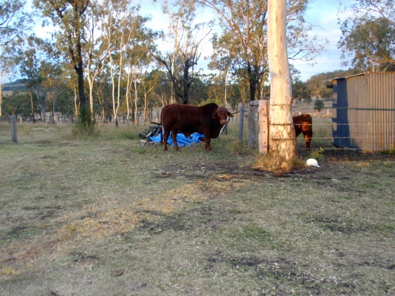 Cloyna QLD 4605