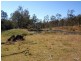 Mudlo QLD 4600