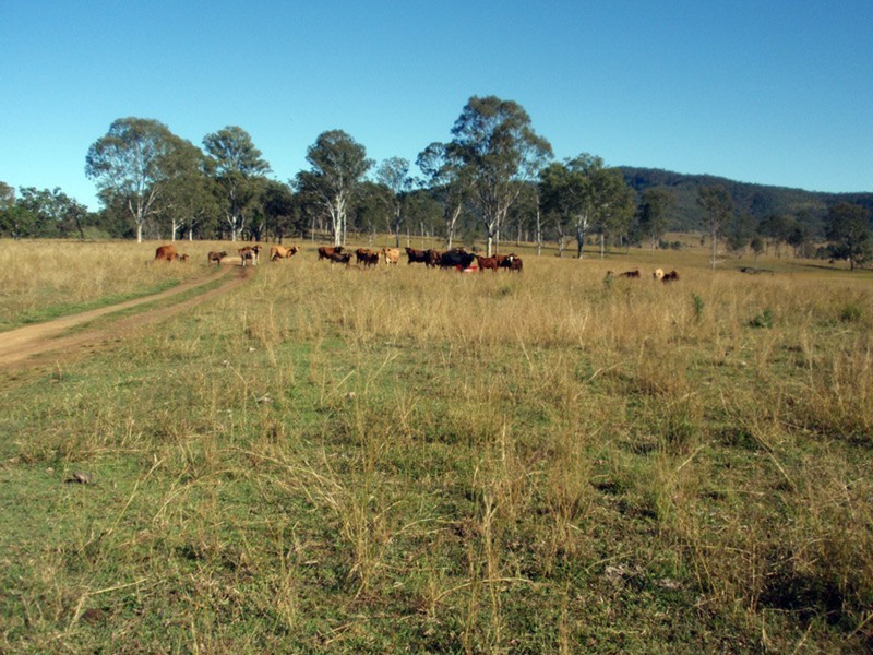 Mudlo QLD 4600