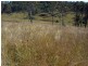 Mudlo QLD 4600