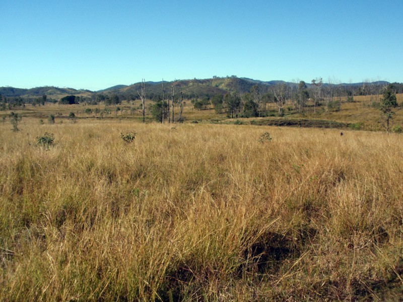 Mudlo QLD 4600