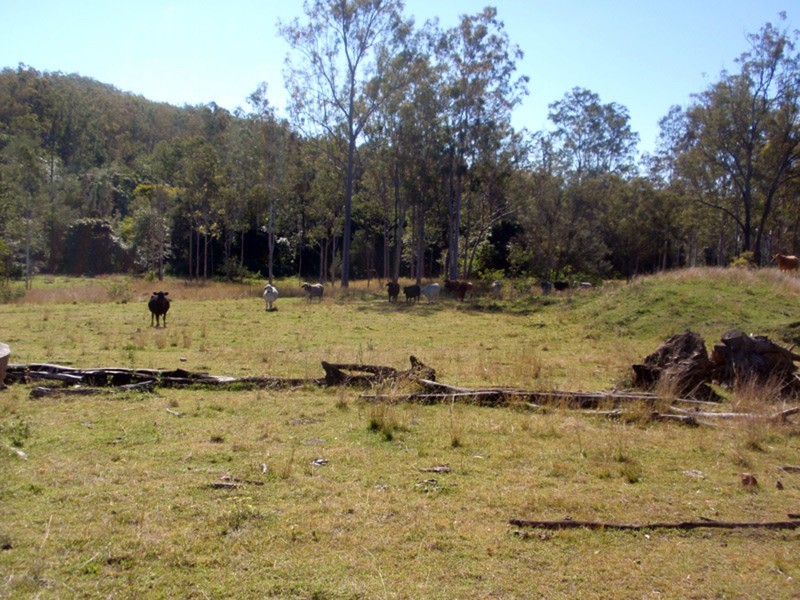 Mudlo QLD 4600
