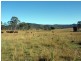 Mudlo QLD 4600