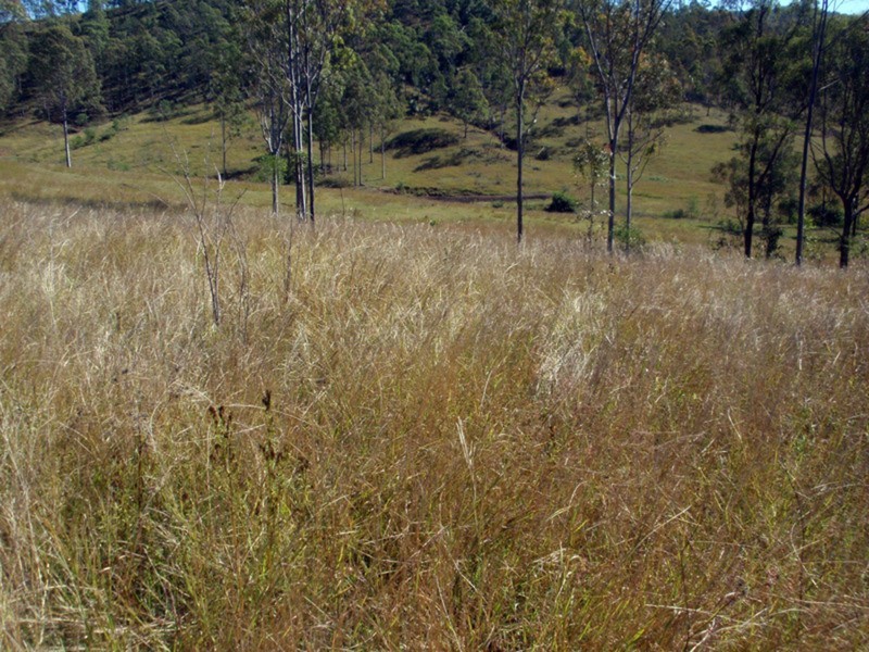 Mudlo QLD 4600
