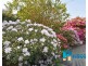 12 Third Avenue, Bonny Hills NSW 2445