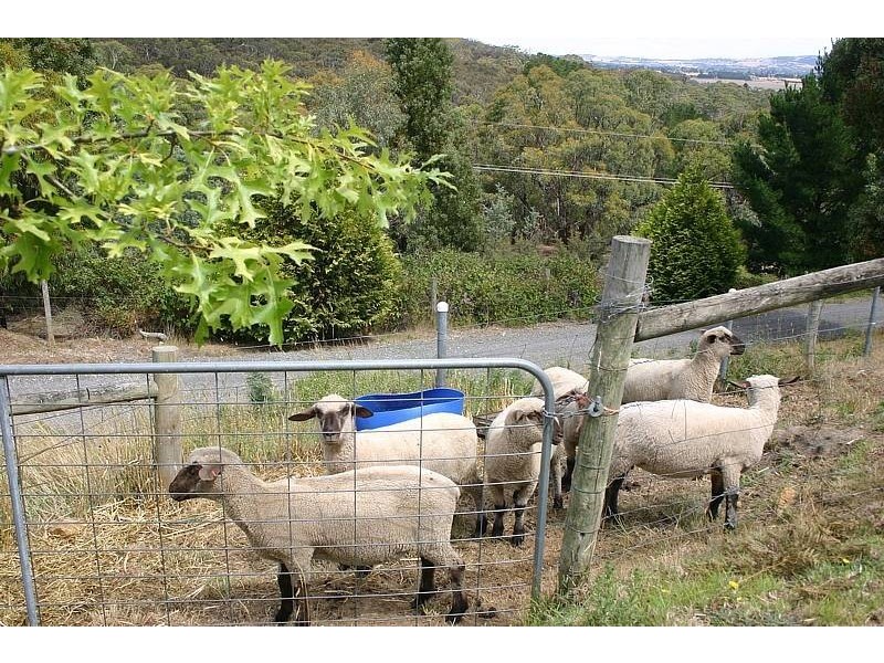 81 Mt Robertsons Road, New Gisborne VIC 3438