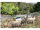 81 Mt Robertsons Road, New Gisborne VIC 3438