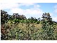 220 Boundary Road, Pipers Creek VIC 3444